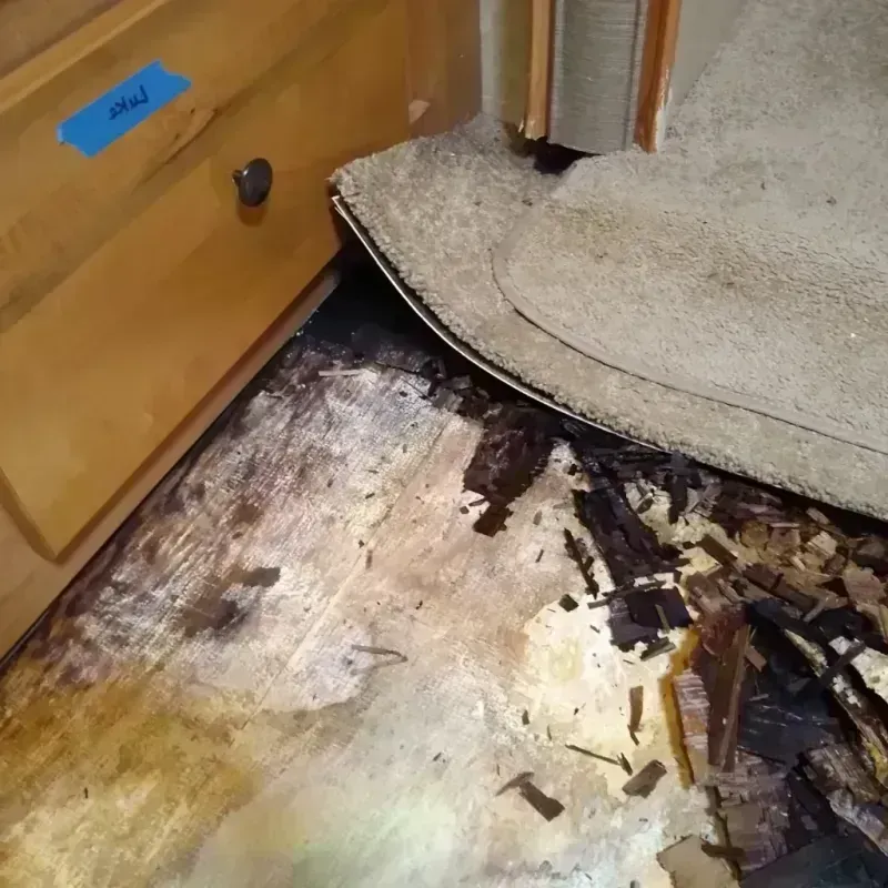 Wood Floor Water Damage in Shelby County, IL